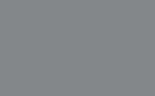 928-58 Mouse Swatch